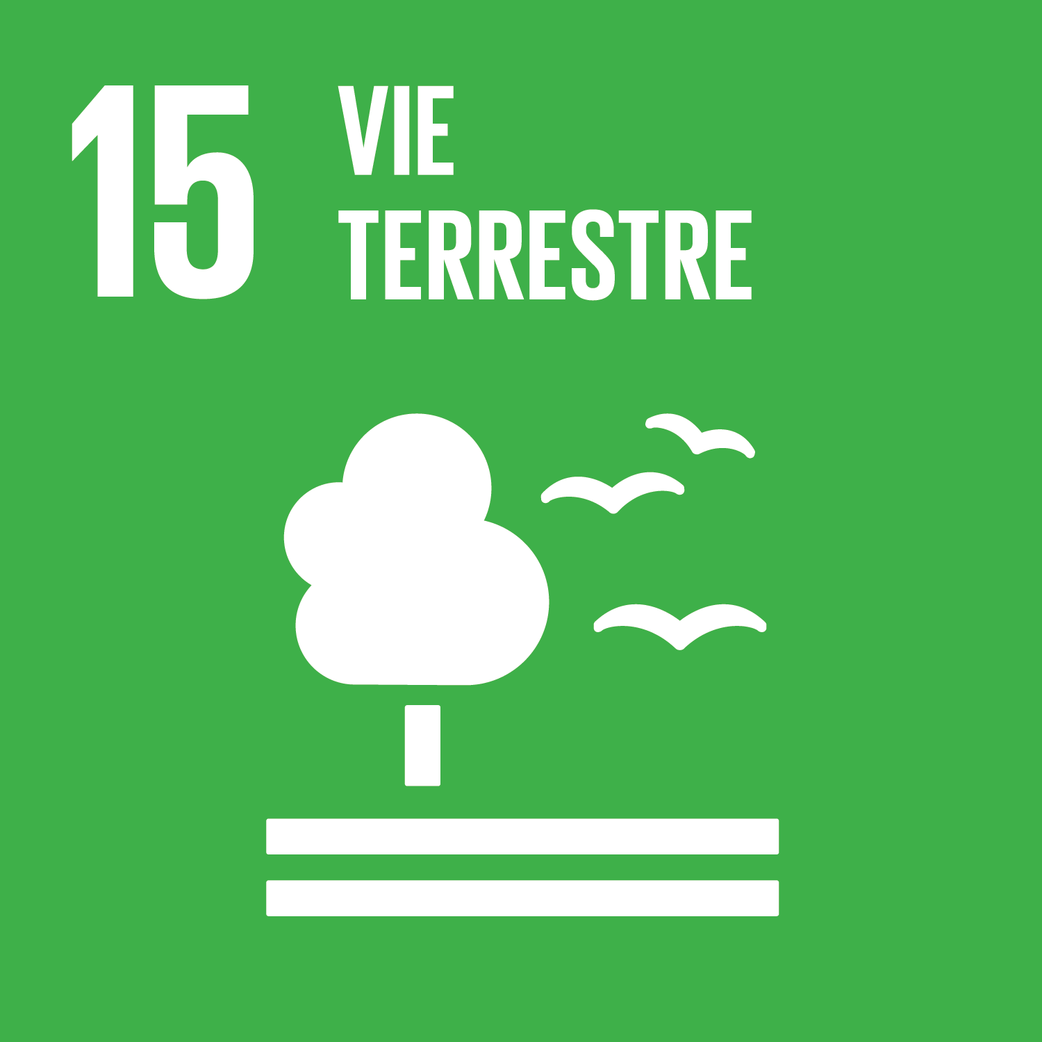 ODD 15, vie terrestre