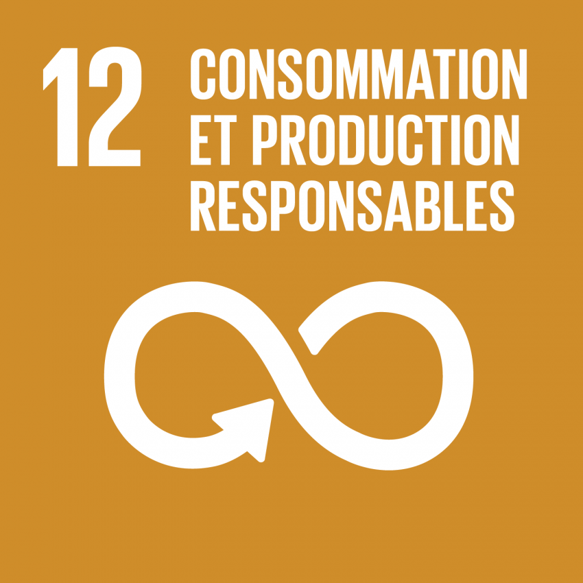 ODD 12, consommation et production responsables